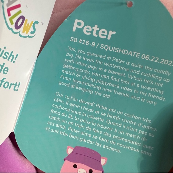 8” Peter the Pig with Bucket Hat NWT - Picture 5 of 5